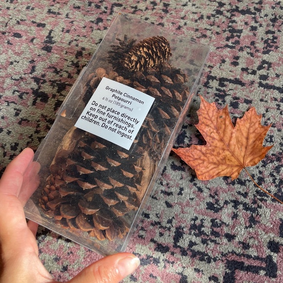 🍁 Potpourri Cinnamon Pinecones scented autumn decor - Picture 1 of 4